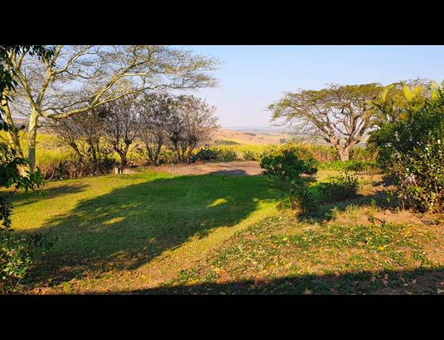 FARM FOR SALE IN MANDENI